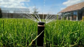 Ефективний полив — запорука врожаю: поради