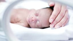 Всесвітній день передчасно народженої дитини: підтримка сімей і важливість обізнаності