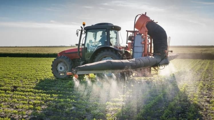 Міжнародний день боротьби з пестицидами: чому