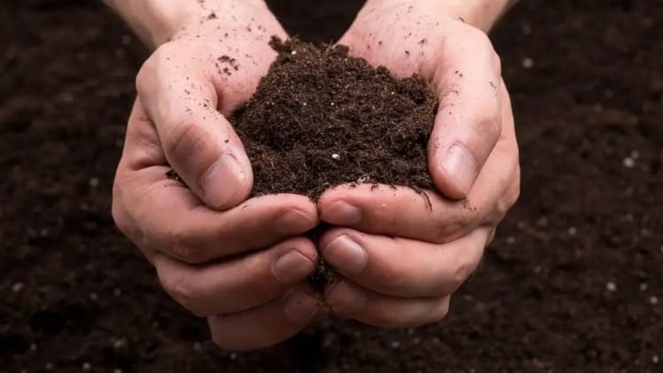 5 грудня Україна вшановує ґрунтознавців і